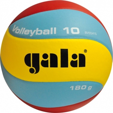 GALA Volleyball 10 - BV 5541 S